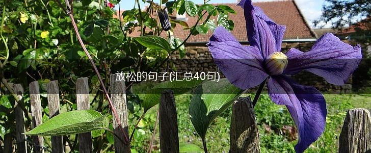 放松的句子(汇总40句),第1张