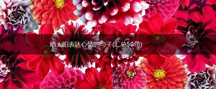 晒太阳表达心情的句子(汇总50句),第1张