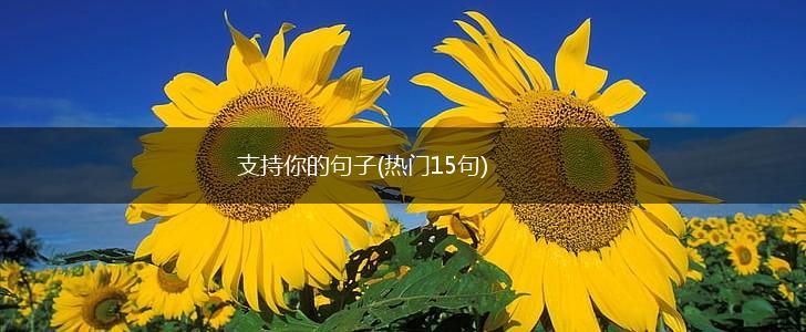 支持你的句子(热门15句),第1张