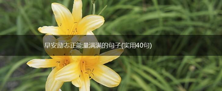 早安励志正能量满满的句子(实用40句),第1张