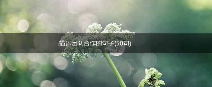 描述团队合作的句子(50句),第1张
