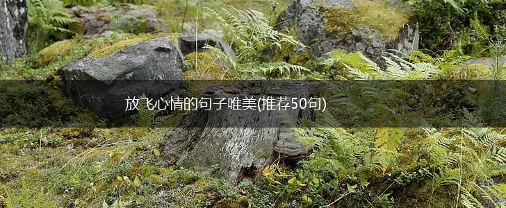 放飞心情的句子唯美(推荐50句),第1张