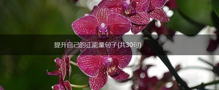 提升自己的正能量句子(共30句),第1张