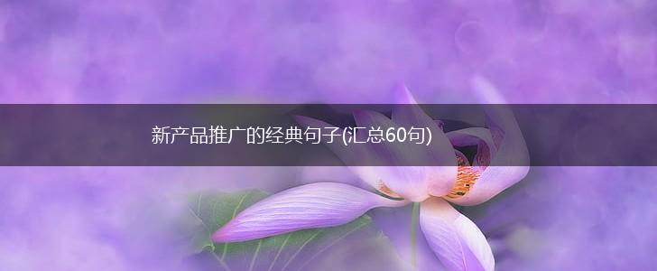 新产品推广的经典句子(汇总60句),第1张