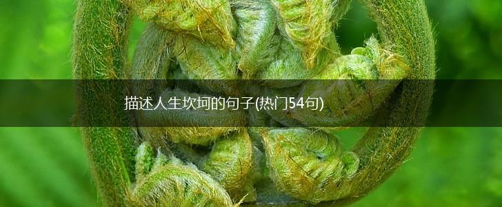 描述人生坎坷的句子(热门54句),第1张