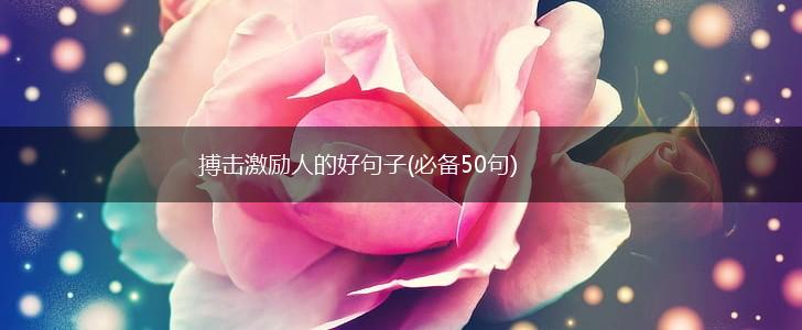 搏击激励人的好句子(必备50句),第1张