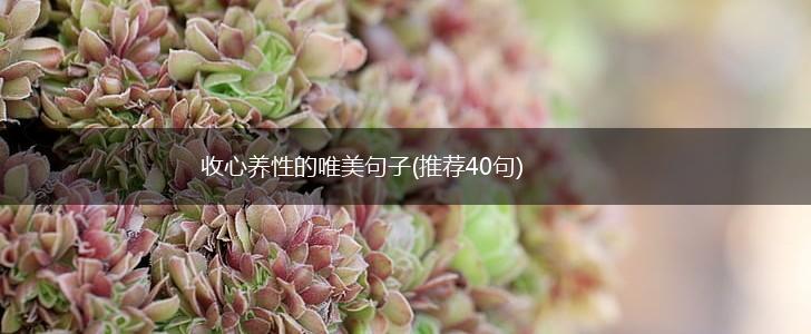 收心养性的唯美句子(推荐40句),第1张