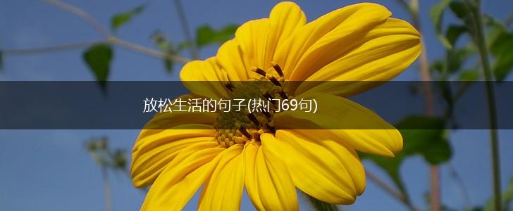 放松生活的句子(热门69句),第1张