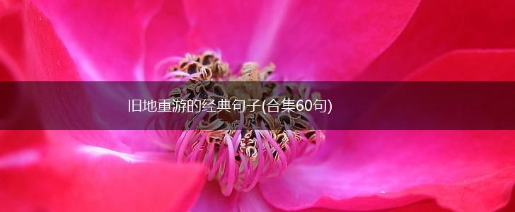 旧地重游的经典句子(合集60句),第1张