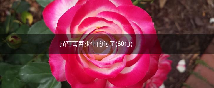 描写青春少年的句子(60句),第1张