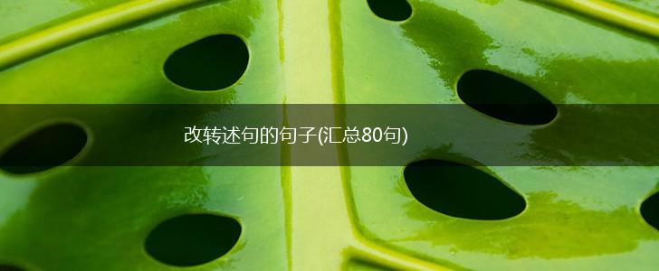 改转述句的句子(汇总80句),第1张