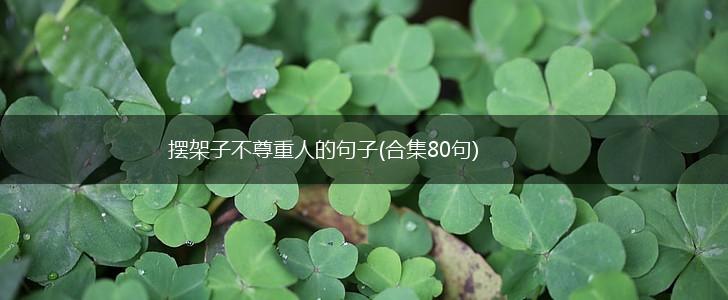 摆架子不尊重人的句子(合集80句),第1张