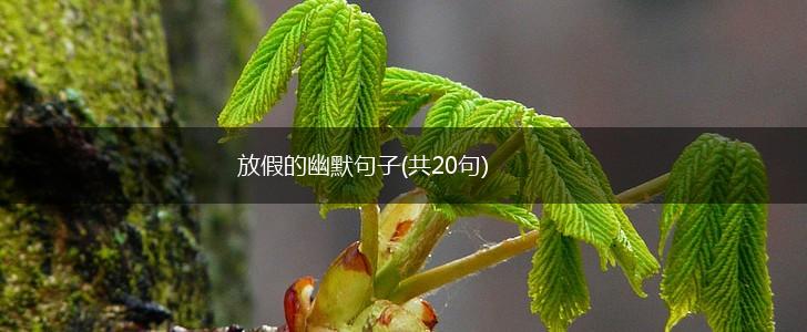 放假的幽默句子(共20句),第1张