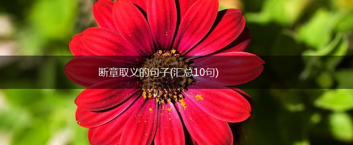 断章取义的句子(汇总10句),第1张