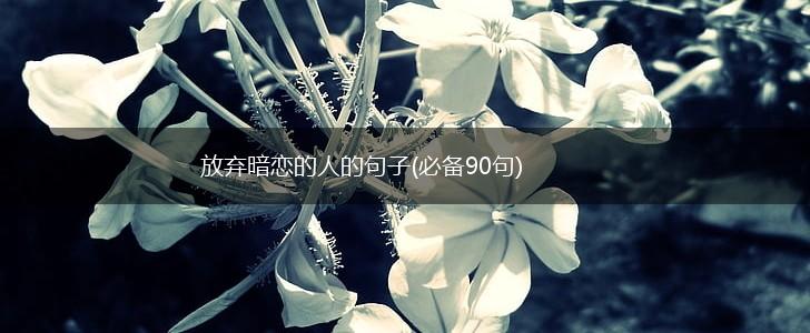 放弃暗恋的人的句子(必备90句),第1张