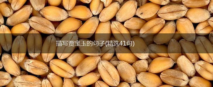 描写贾宝玉的句子(精选41句),第1张