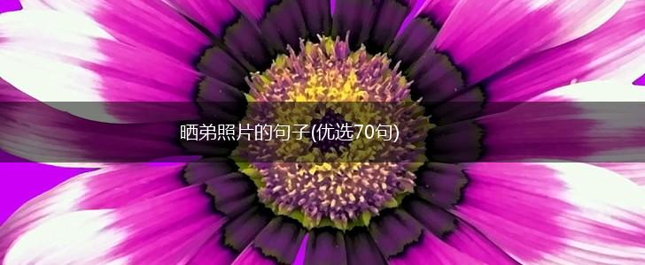 晒弟照片的句子(优选70句),第1张