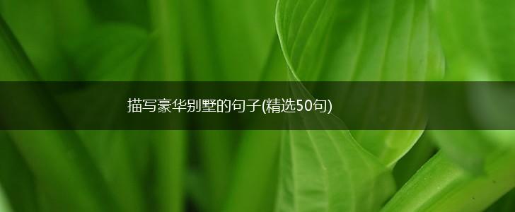描写豪华别墅的句子(精选50句),第1张