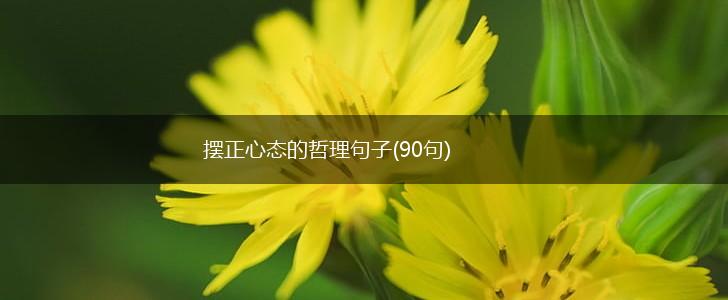 摆正心态的哲理句子(90句),第1张 摆正心态的哲理句子(90句),第1张