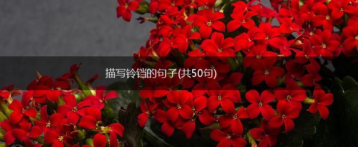 描写铃铛的句子(共50句),第1张