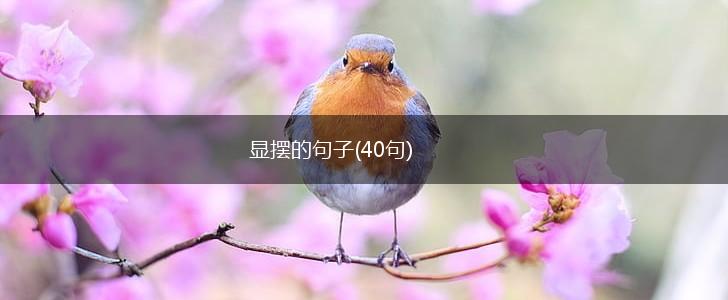 显摆的句子(40句),第1张