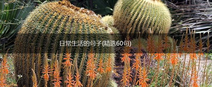 日常生活的句子(精选60句),第1张