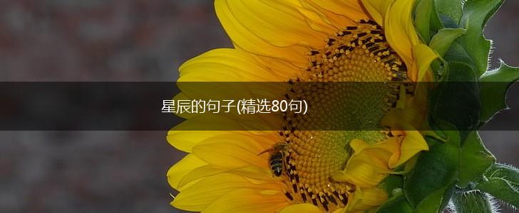 星辰的句子(精选80句),第1张