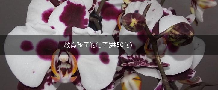 教育孩子的句子(共50句),第1张