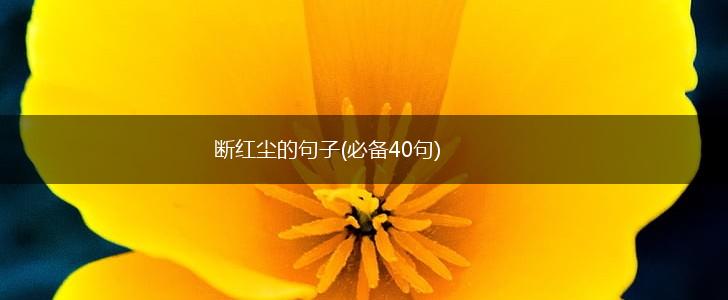 断红尘的句子(必备40句),第1张