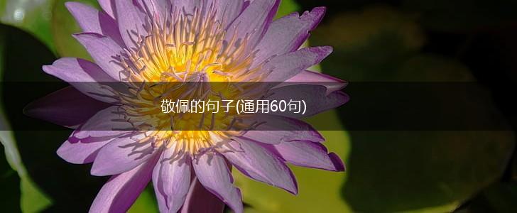敬佩的句子(通用60句),第1张