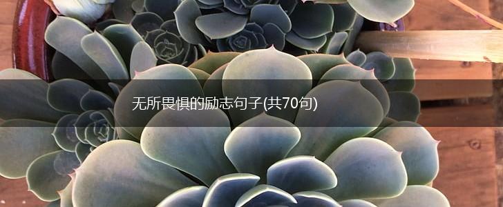 无所畏惧的励志句子(共70句),第1张