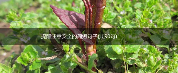 提醒注意安全的简短句子(共90句),第1张
