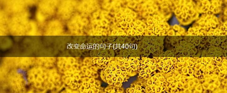 改变命运的句子(共40句),第1张