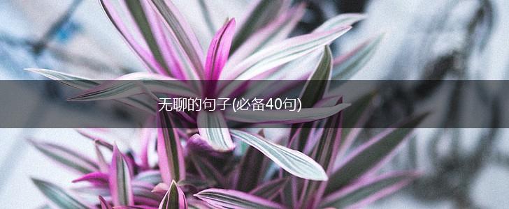 无聊的句子(必备40句),第1张