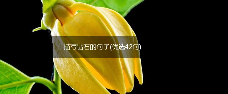描写钻石的句子(优选42句),第1张