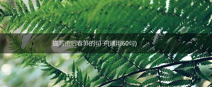 描写雨后春笋的句子(通用60句),第1张
