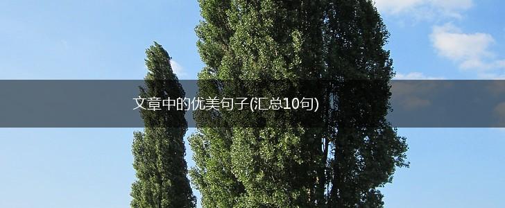 文章中的优美句子(汇总10句),第1张