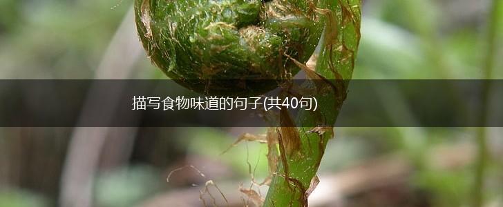 描写食物味道的句子(共40句),第1张