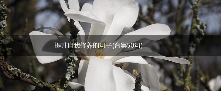提升自我修养的句子(合集50句),第1张