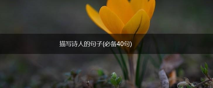 描写诗人的句子(必备40句),第1张