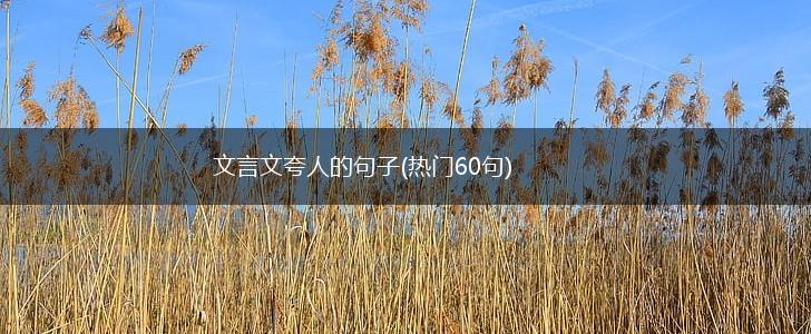 文言文夸人的句子(热门60句),第1张