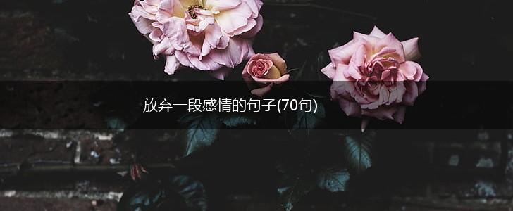 放弃一段感情的句子(70句),第1张
