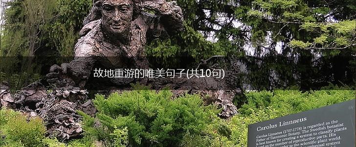 故地重游的唯美句子(共10句),第1张
