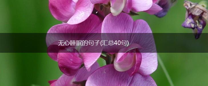 无心睡眠的句子(汇总40句),第1张