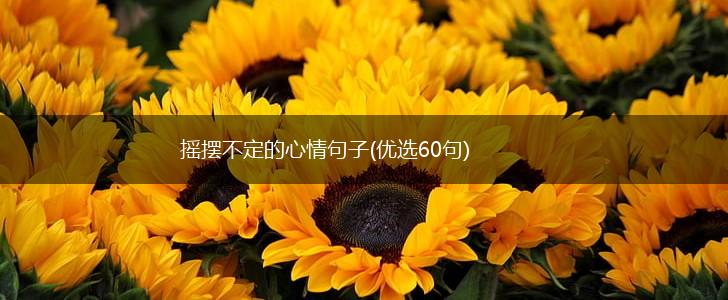 摇摆不定的心情句子(优选60句),第1张