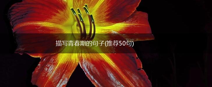 描写青春期的句子(推荐50句),第1张