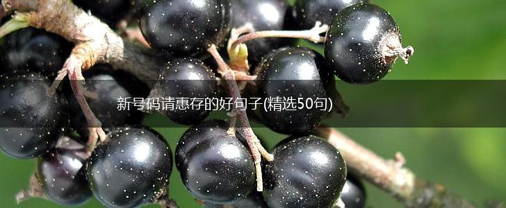 新号码请惠存的好句子(精选50句),第1张