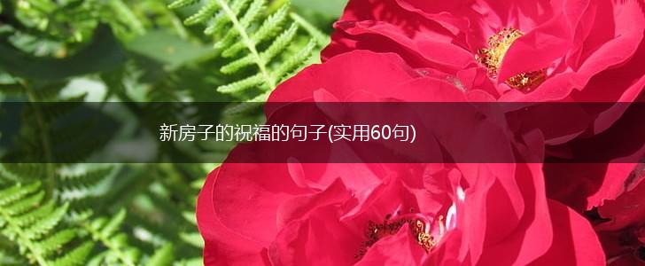 新房子的祝福的句子(实用60句),第1张