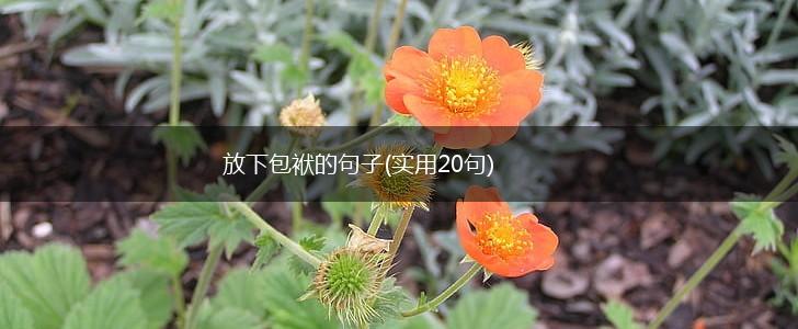 放下包袱的句子(实用20句),第1张