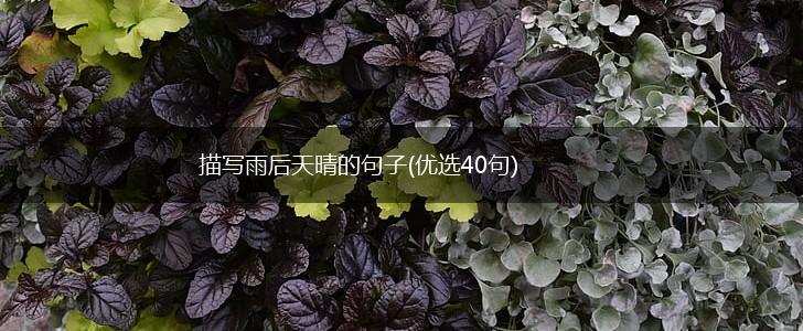 描写雨后天晴的句子(优选40句),第1张